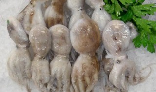 清洗干净的章鱼足是怎样的（章鱼足如何处理）