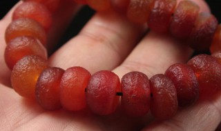 怎么养珠子（如何养珠子）