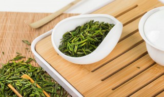 茶海怎么养 茶叶花怎么养护