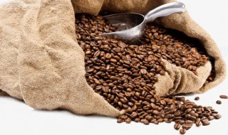 怎么养咖啡豆 怎么养咖啡豆子