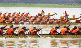 去年端午开什么马（端午节什么马）