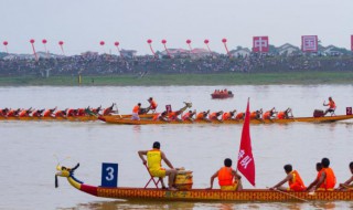 端午节会开什么生肖（端午节会开什么生肖呢）