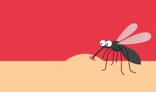 伊蚊按蚊库蚊的区别（什么是伊蚊）