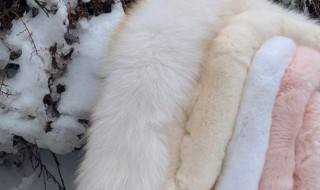兔毛皮草熨烫里子可以吗（兔毛皮草能洗吗）