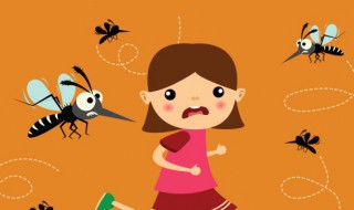 在学校里如何防蚊子 在学校里如何防蚊子咬