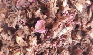 晒干的凤仙花干怎么染指甲 凤仙花晒干后还能染指甲吗?