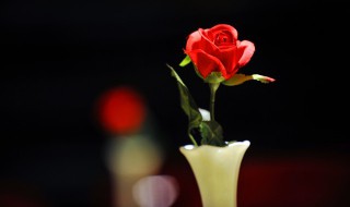 情人节送什么礼物比较好 情人节送什么礼物比较好呢