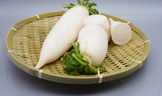 白萝卜怎么吃化痰 白萝卜怎么吃化痰清肺