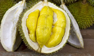 生的榴莲肉怎么吃 生的榴莲肉怎么吃好吃