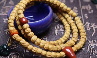 柏香籽怎么盘（百香籽怎么盘红得快）