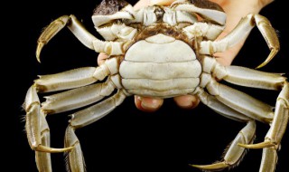 去买螃蟹要怎么挑 买螃蟹应该怎么挑