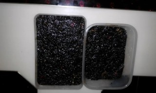 阿胶要放冰箱吗 阿胶要放冰箱吗?