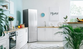 鸽子蛋要放冰箱吗 鸽子蛋放冰箱里能放多久