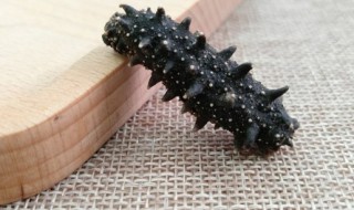 海参能放冰箱冷冻吗（海参能放冰箱冷冻吗多少度）