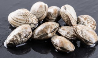 花甲能放冰箱冷冻吗（花甲能放冰箱冷冻吗多少度）