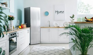 开水可以放冰箱冷冻吗 开水可以放冰箱冷冻吗多少度