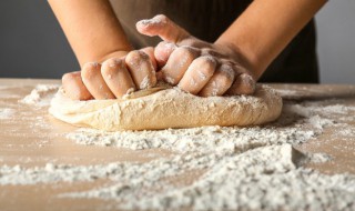 馒头发酵可以放冰箱吗 馒头发酵可以放冰箱吗