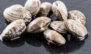 炒熟花甲可以放冰箱吗（炒熟花甲可以放冰箱吗）