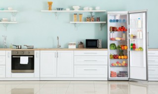 盘子可以放冰箱冷冻吗 盘子可以放冰箱冷冻吗