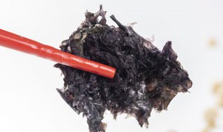紫菜能放冰箱吗 紫菜能放冰箱吗冬天
