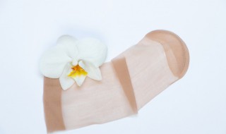 丝袜穿了还能放冰箱吗 丝袜穿了还能放冰箱吗多久