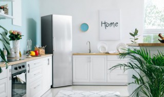 知了可以放冰箱冷冻吗（知了猴可以冷冻保存吗）