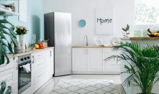 肯德基放冰箱还能吃吗（肯德基没吃完的能放冰箱以后吃吗）