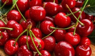 樱珠可以放冰箱吗（樱珠可以放冰箱吗多久）