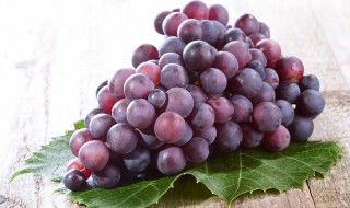 葡萄洗过可以放冰箱吗（葡萄洗了以后可以放冰箱吗）