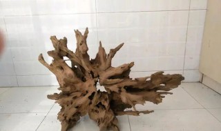 沉木煮完泡多久才能用那 沉木煮完泡多久才能用那种茶叶