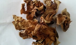 干木棉花清洗方法（新鲜木棉花制干方法）