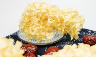 银耳泡多长时间 银耳泡多长时间可以煮