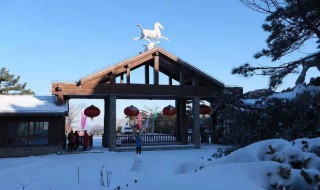 雪乡自助游（雪乡自助游旅游攻略）
