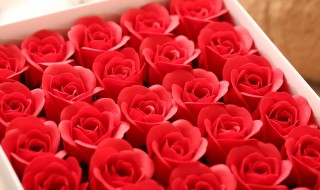 皂花是什么（皂花是什么花能放多久）